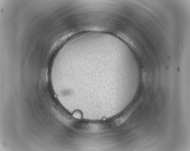 X0000087550302200705112128