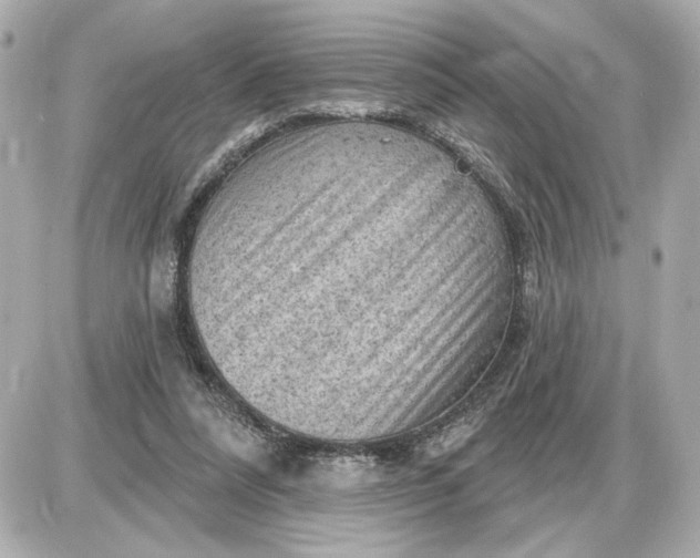 X0000087550304200705112128