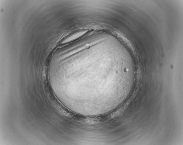 X0000087550305200705112128