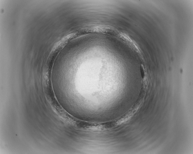 X0000087550306200705112128