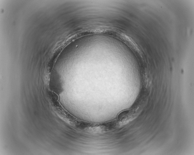 X0000087550307200705112128