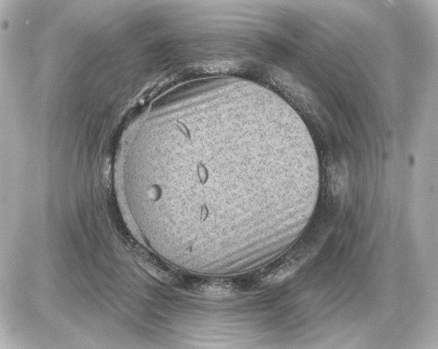 X0000087550308200705112128