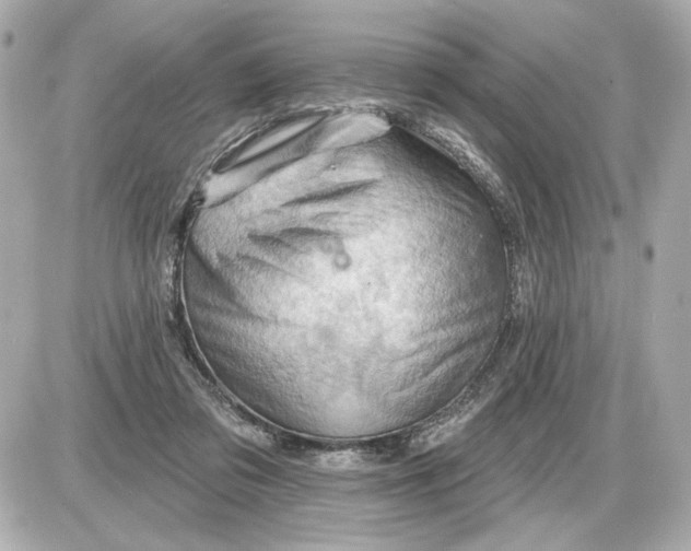 X0000087550309200705112128