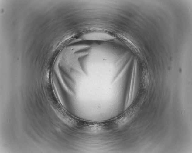 X0000087550310200705112128