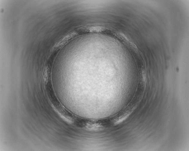 X0000087550311200705112128