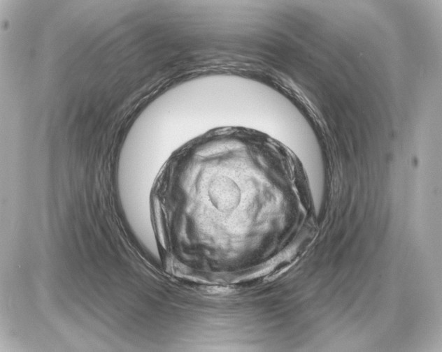 X0000087550313200705112128