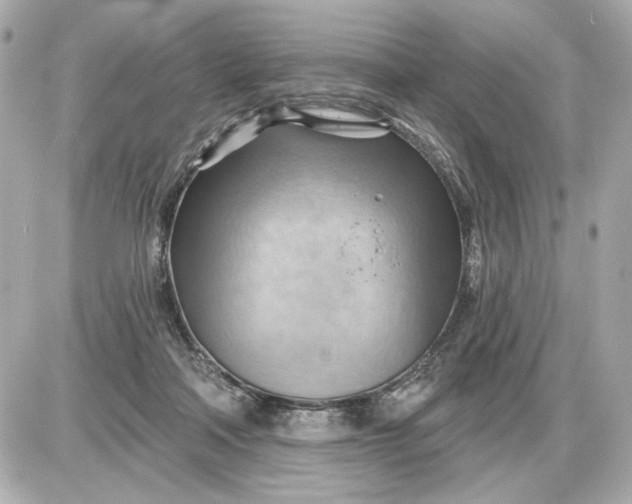 X0000087550314200705112128