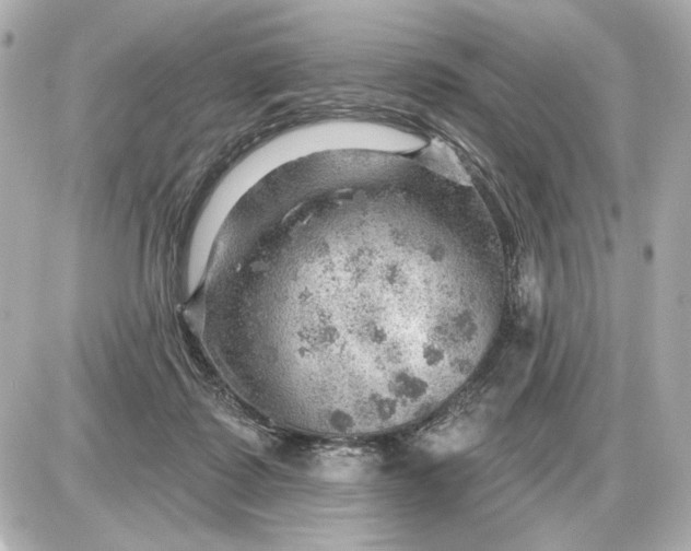 X0000087550315200705112128