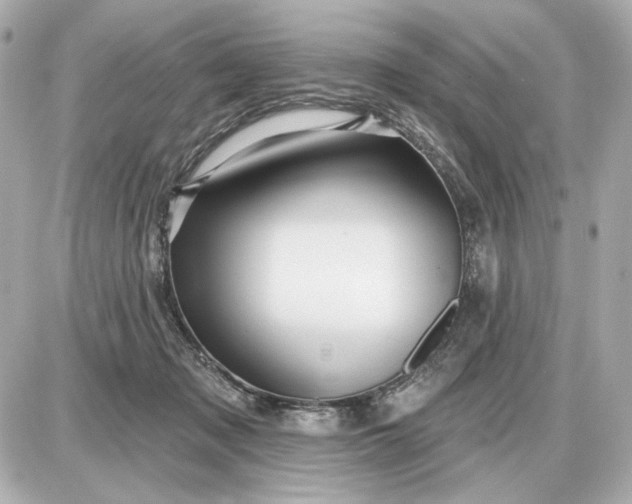 X0000087550317200705112128