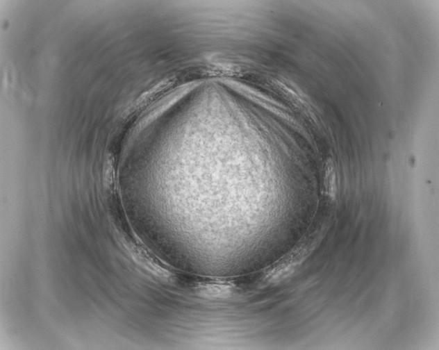 X0000087550318200705112128