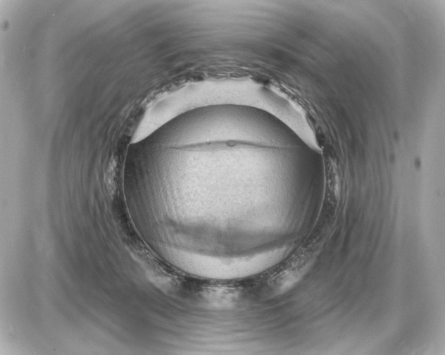 X0000087550319200705112128