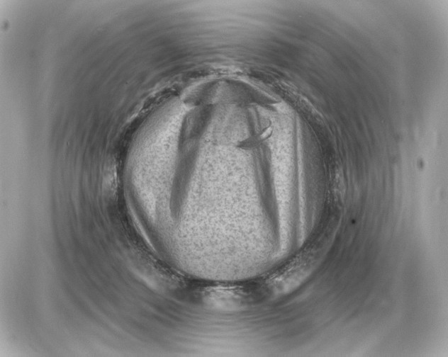 X0000087550320200705112128