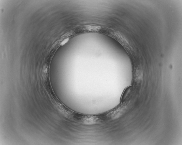 X0000087550321200705112128