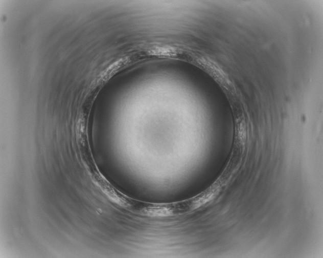 X0000087550322200705112128