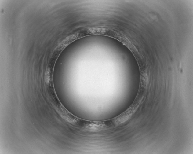 X0000087550323200705112128