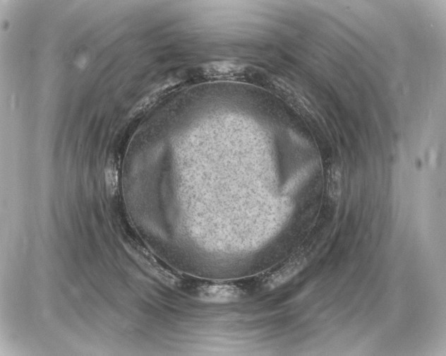 X0000087550324200705112128