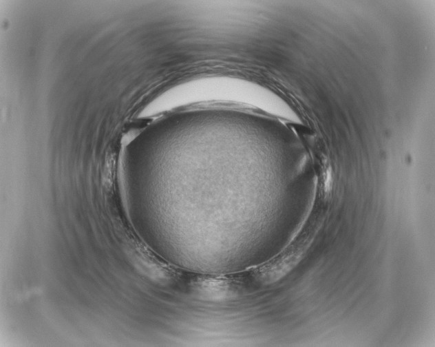 X0000087550325200705112128