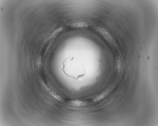 X0000087550326200705112128