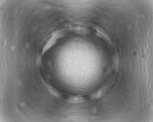 X0000087550329200705112128