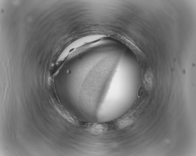 X0000087550330200705112128