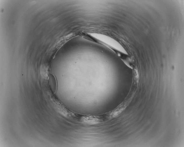 X0000087550331200705112128