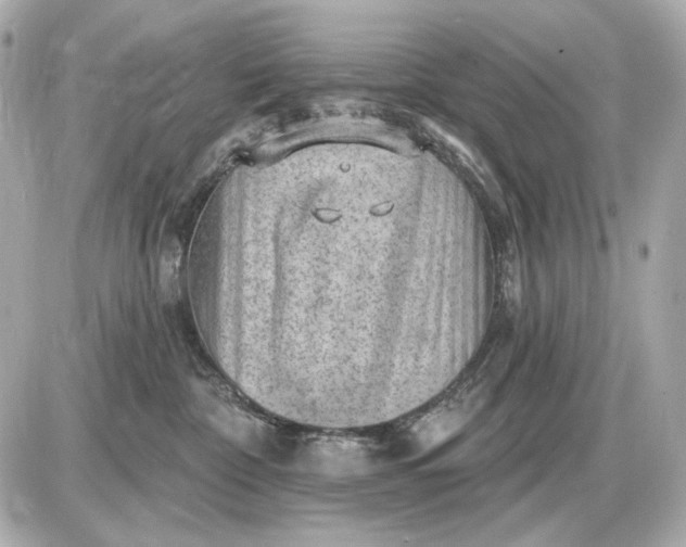 X0000087550332200705112128