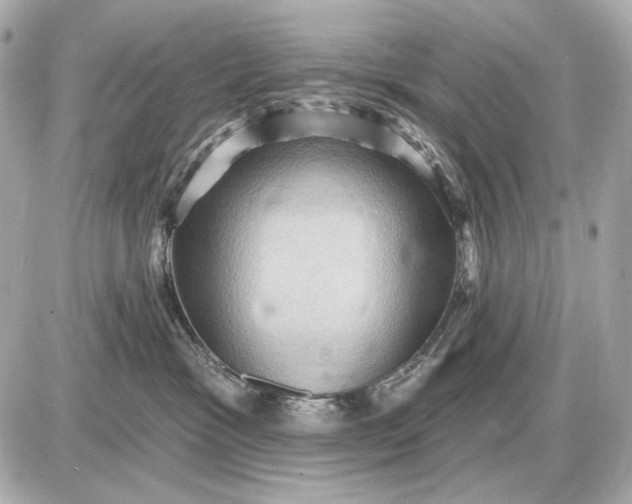 X0000087550333200705112128