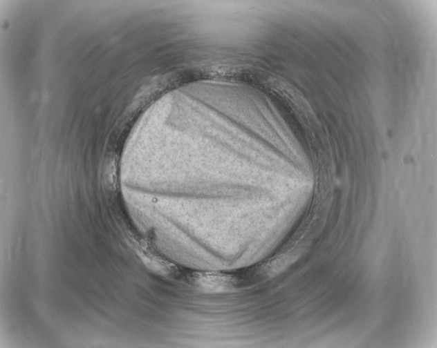 X0000087550336200705112127