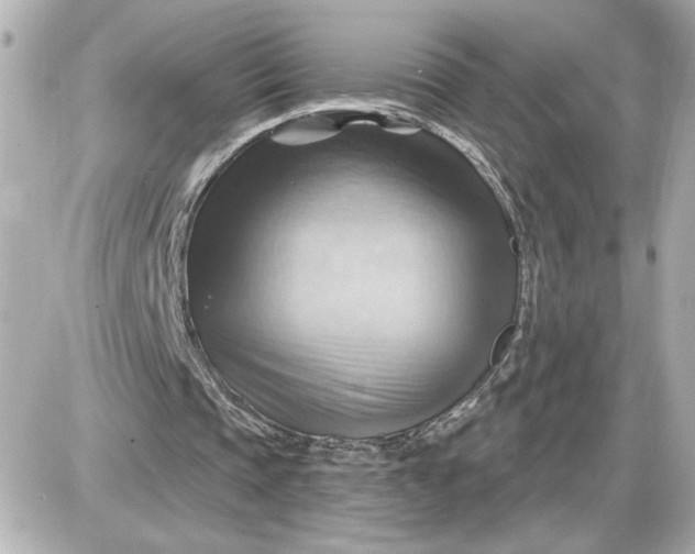 X0000087550337200705112127