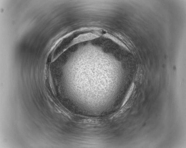 X0000087550338200705112127