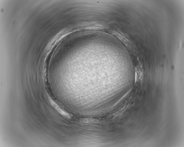 X0000087550339200705112127