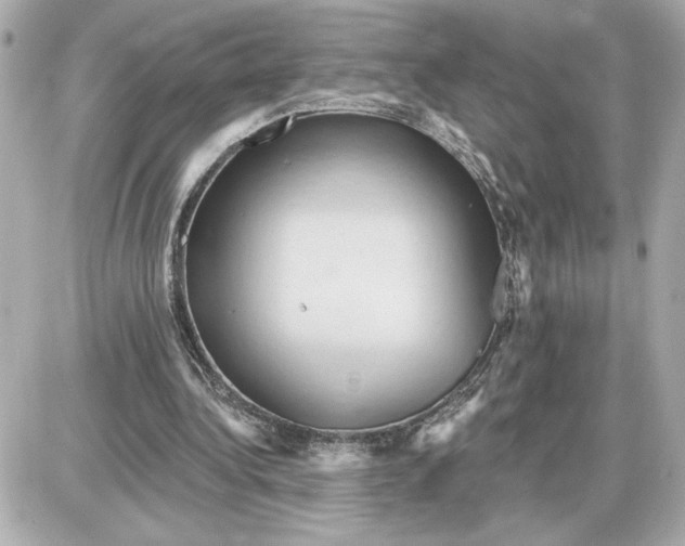 X0000087550340200705112127