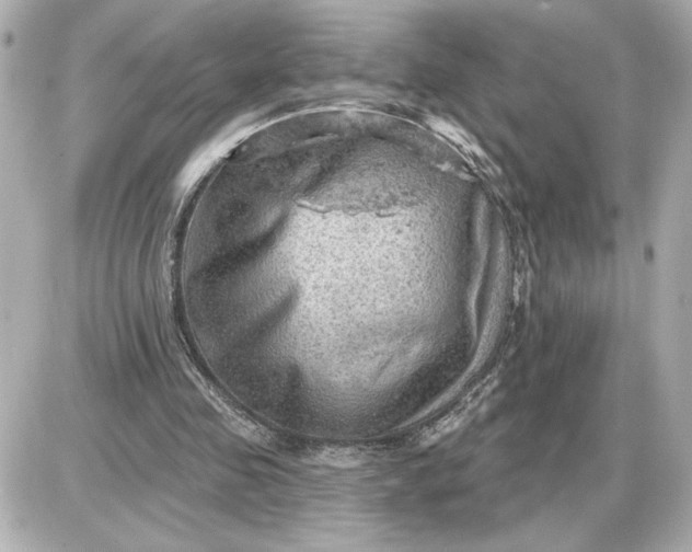 X0000087550341200705112127