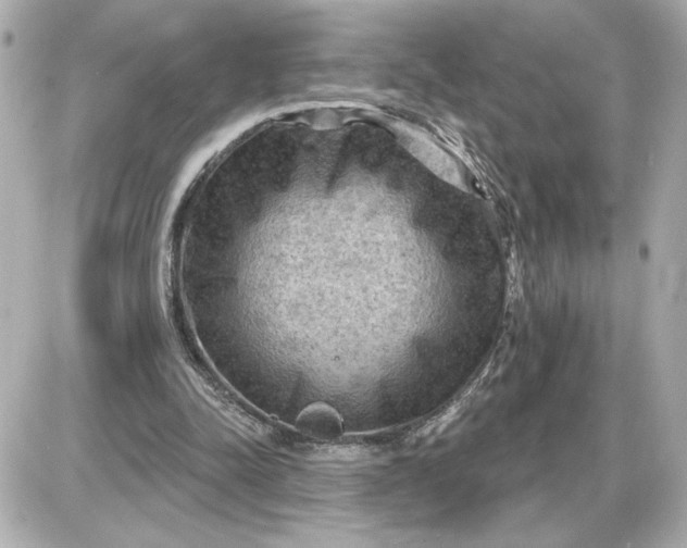 X0000087550342200705112127