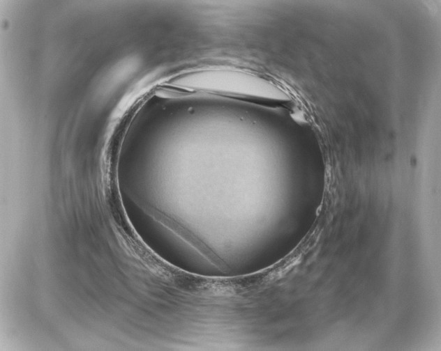 X0000087550343200705112127