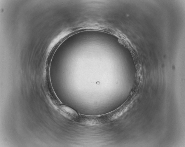 X0000087550344200705112127