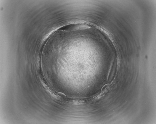 X0000087550345200705112127