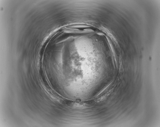 X0000087550346200705112127