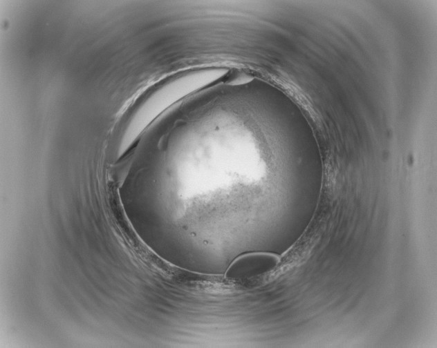 X0000087550347200705112127