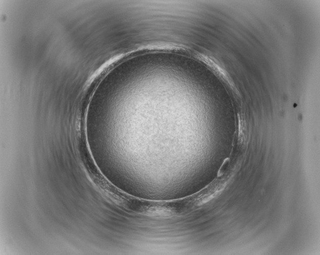 X0000087550348200705112127