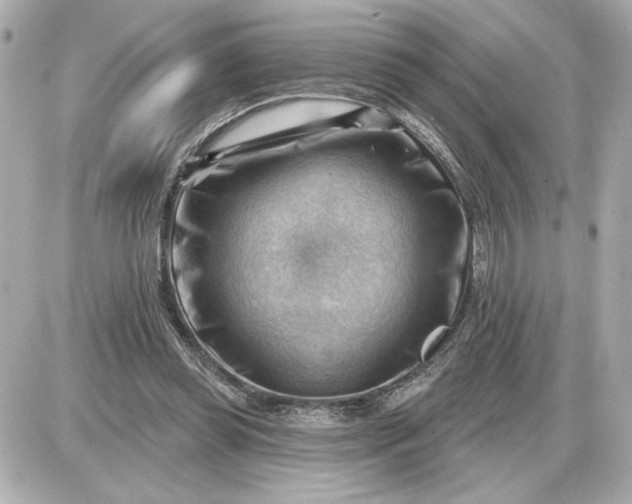 X0000087550349200705112127