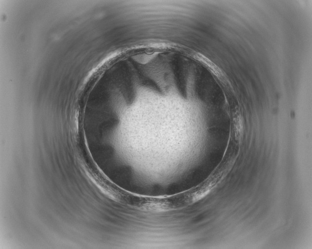 X0000087550350200705112127