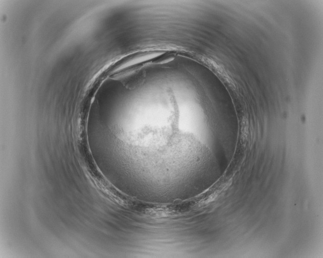 X0000087550351200705112127