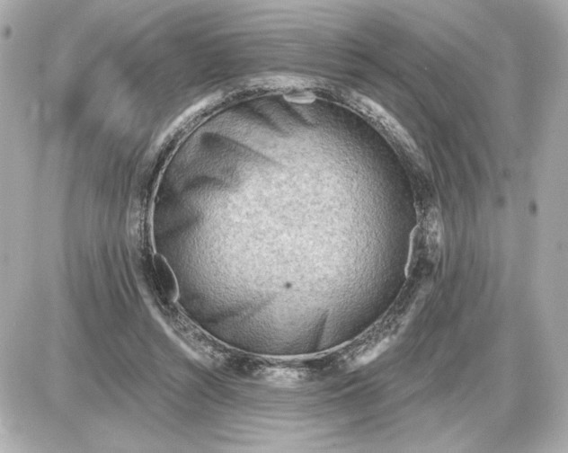 X0000087550352200705112127