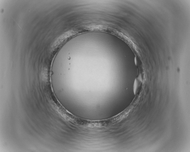 X0000087550353200705112127