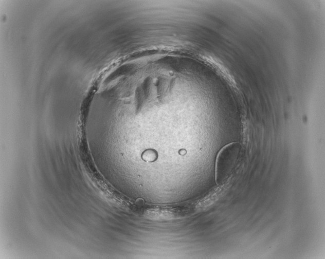 X0000087550354200705112127