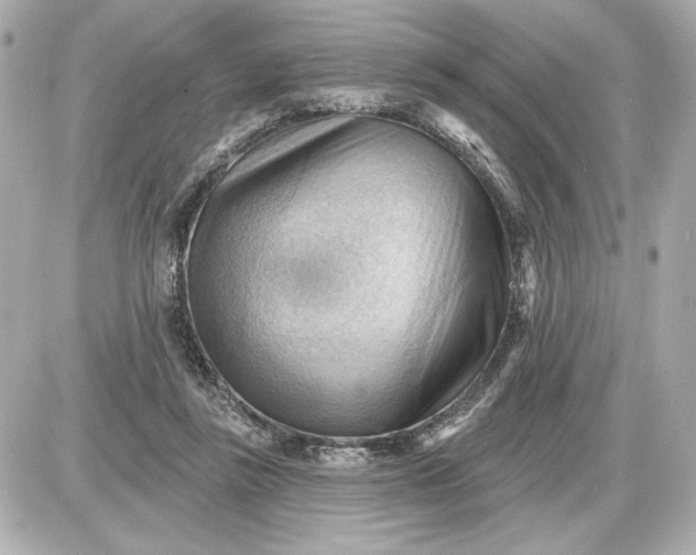 X0000087550355200705112127