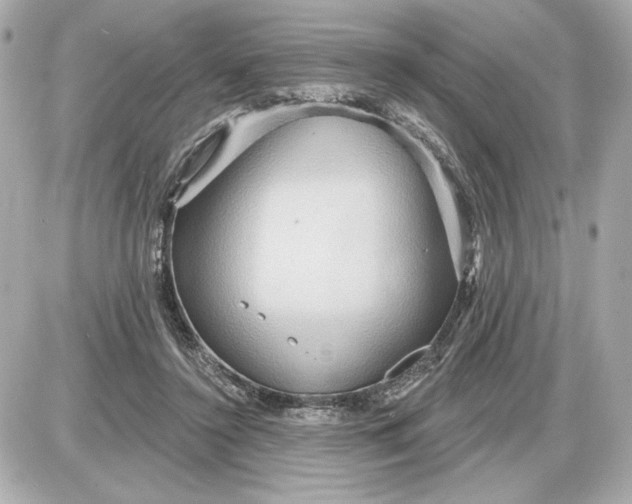 X0000087550356200705112127