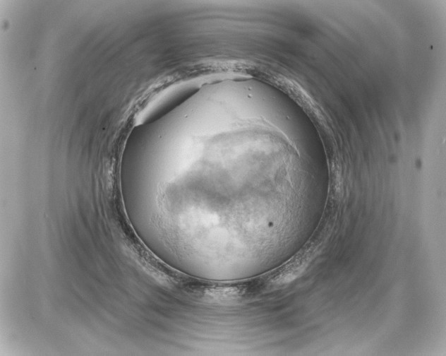 X0000087550357200705112127