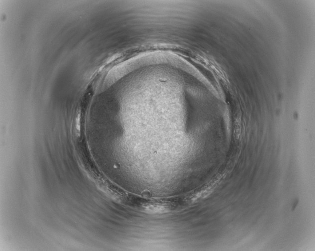 X0000087550358200705112127